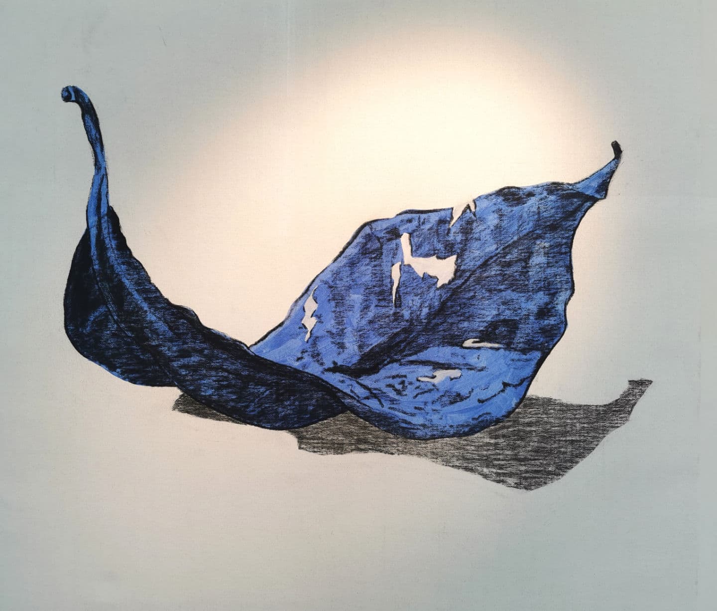 LF 15